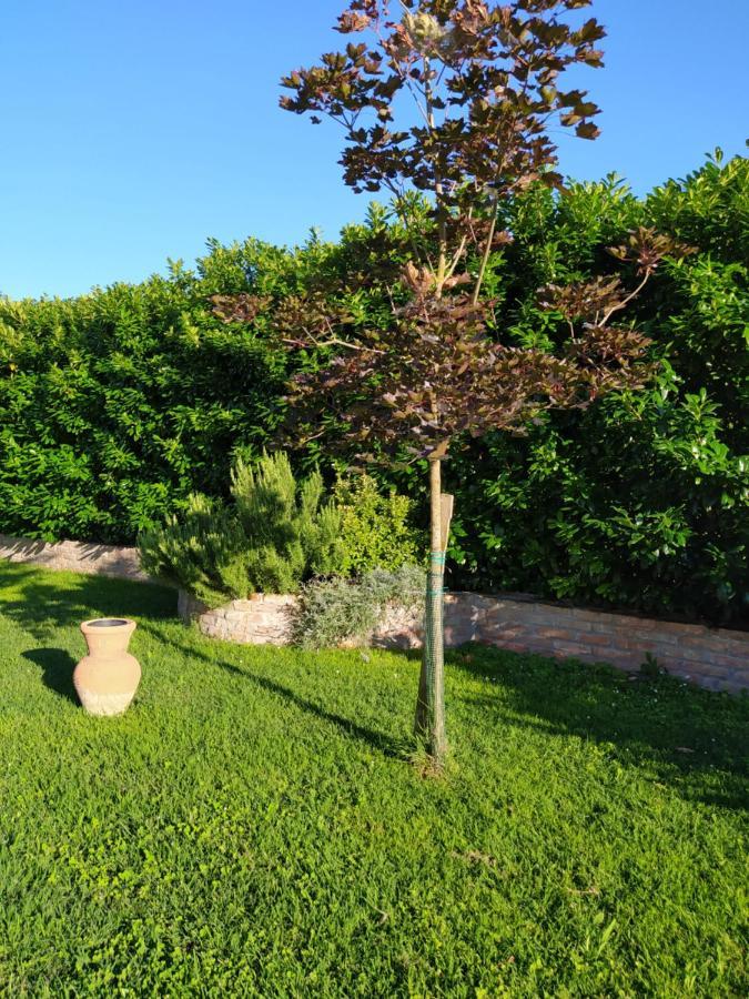 Soggiorno In Relax Correggioverde Екстер'єр фото