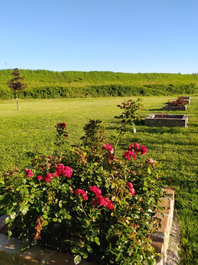 Soggiorno In Relax Correggioverde Екстер'єр фото
